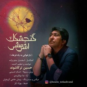 حسین ترکاشوند - گنجشکک اشی مشی